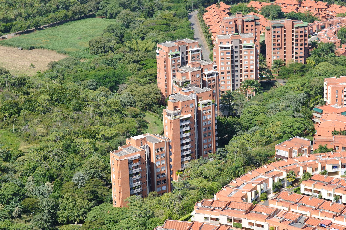 Proyecto